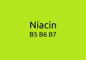 Niacin, B5, B6 & B7: Wasserlöslicher Vitaminmangel & Toxizität