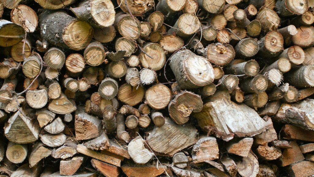 Altholz entsorgen - Wohin mit den Holzabfällen?