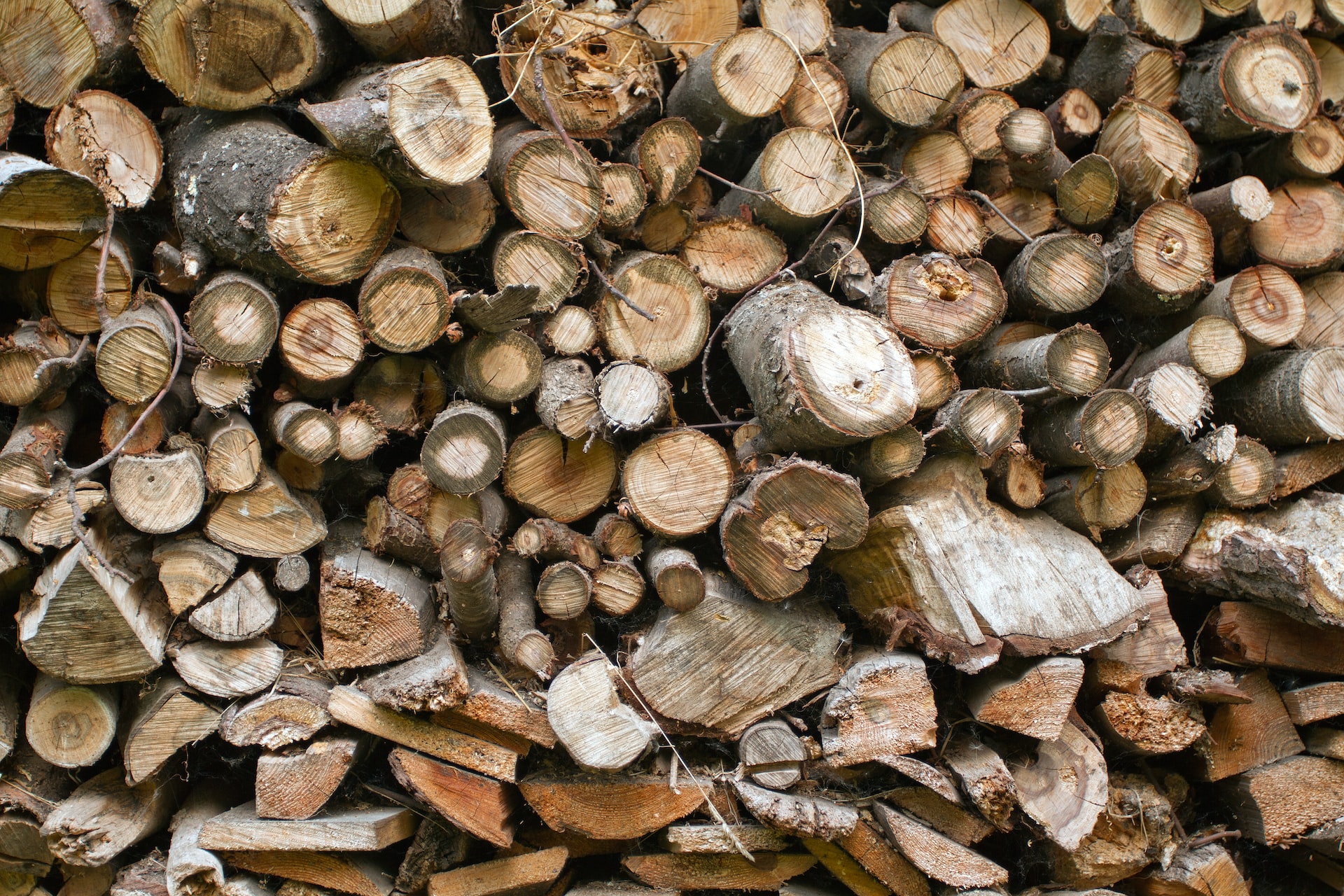 Altholz entsorgen - Wohin mit den Holzabfällen?